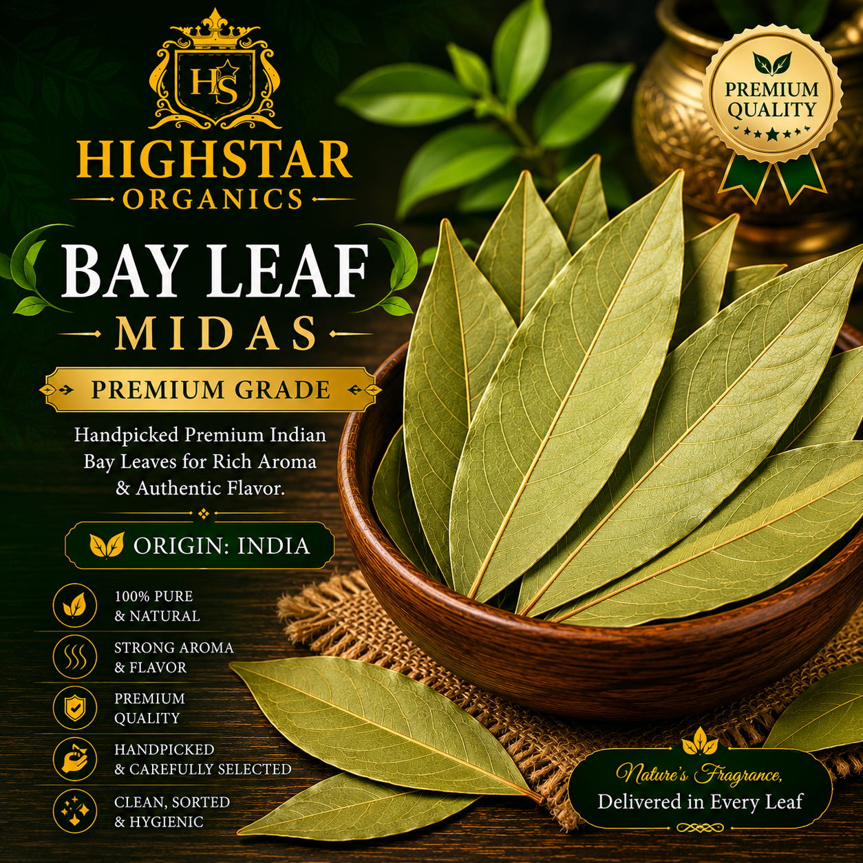 Bay Leaf - Midas